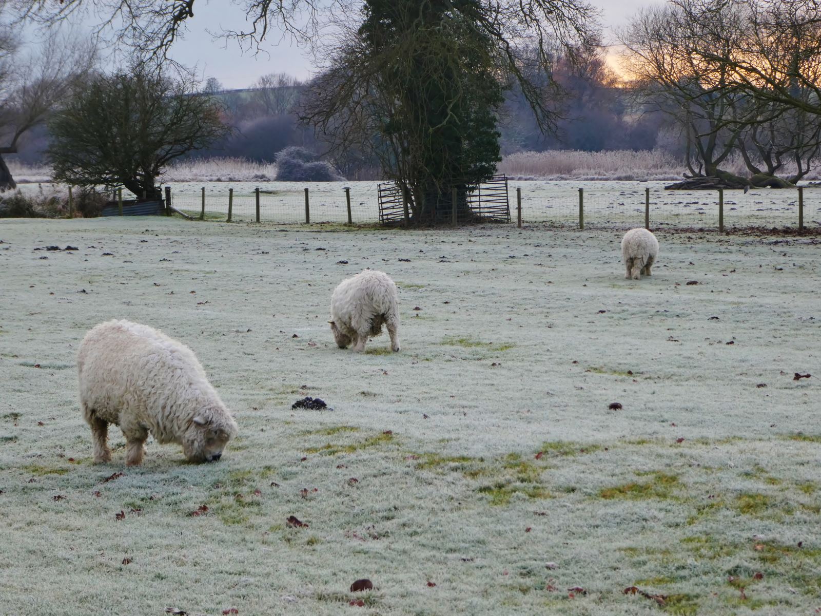 Stockbridge, Hampshire